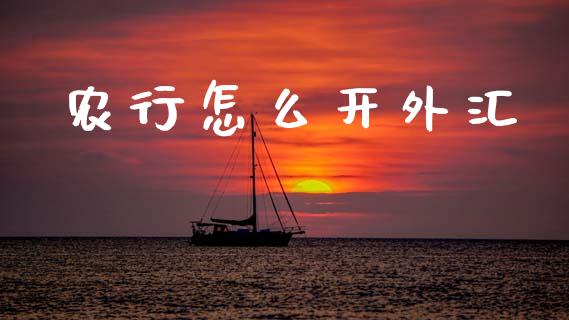 农行怎么开外汇_https://www.fsyjjx.cn_理财资讯_第1张