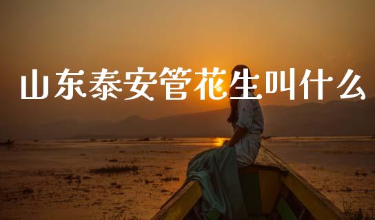 山东泰安管花生叫什么_https://www.fsyjjx.cn_期货研报_第1张
