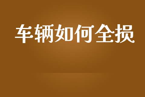 车辆如何全损_https://www.fsyjjx.cn_股指期货_第1张