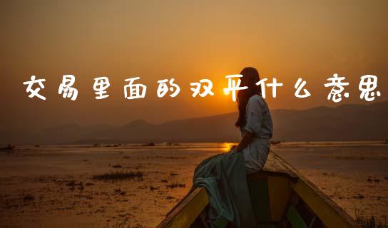 交易里面的双平什么意思_https://www.fsyjjx.cn_期货研报_第1张