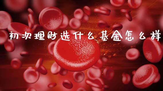 初次理财选什么基金怎么样_https://www.fsyjjx.cn_问财精选_第1张