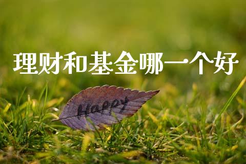 理财和基金哪一个好_https://www.fsyjjx.cn_问财精选_第1张