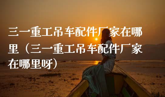 三一重工吊车配件厂家在哪里（三一重工吊车配件厂家在哪里呀）_https://www.fsyjjx.cn_股票指导_第1张