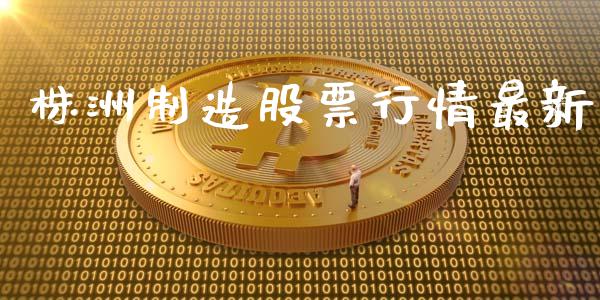 株洲制造股票行情最新_https://www.fsyjjx.cn_股市分析_第1张