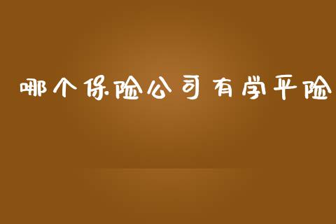 哪个保险公司有学平险_https://www.fsyjjx.cn_期货资讯_第1张