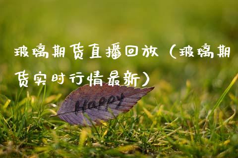 玻璃期货直播回放（玻璃期货实时行情最新）_https://www.fsyjjx.cn_期货在线_第1张