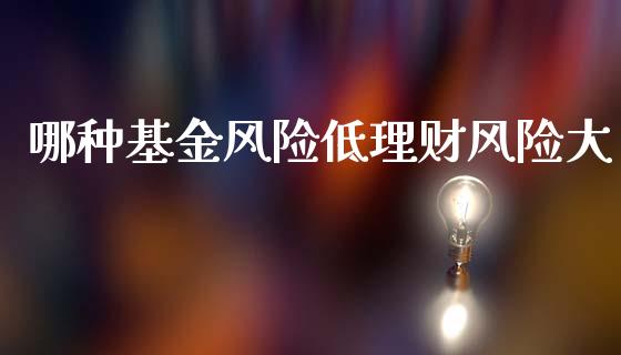 哪种基金风险低理财风险大_https://www.fsyjjx.cn_问财精选_第1张
