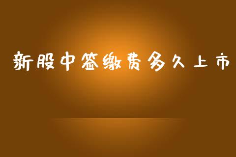 新股中签缴费多久上市_https://www.fsyjjx.cn_期货研报_第1张