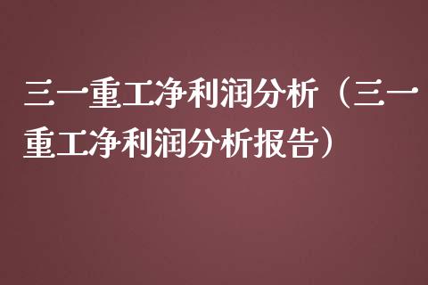 三一重工净利润分析（三一重工净利润分析报告）_https://www.fsyjjx.cn_股票指导_第1张
