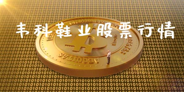 韦科鞋业股票行情_https://www.fsyjjx.cn_股市分析_第1张