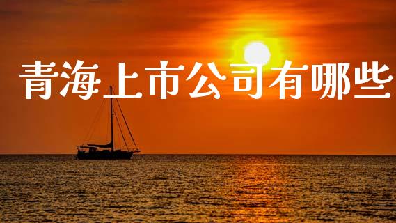 青海上市公司有哪些_https://www.fsyjjx.cn_理财资讯_第1张