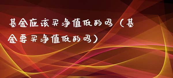 基金应该买净值低的吗（基金要买净值低的吗）_https://www.fsyjjx.cn_问财精选_第1张