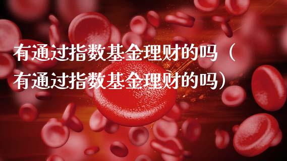 有通过指数基金理财的吗（有通过指数基金理财的吗）_https://www.fsyjjx.cn_理财资讯_第1张