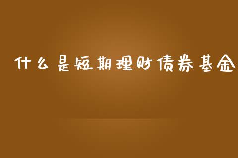 什么是短期理财债券基金_https://www.fsyjjx.cn_问财精选_第1张