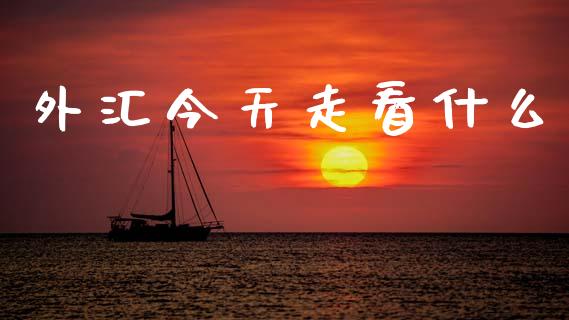 外汇今天走看什么_https://www.fsyjjx.cn_理财资讯_第1张
