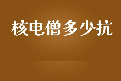 核电僧多少抗_https://www.fsyjjx.cn_期货在线_第1张