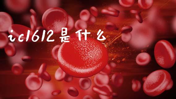ic1612是什么_https://www.fsyjjx.cn_期货在线_第1张