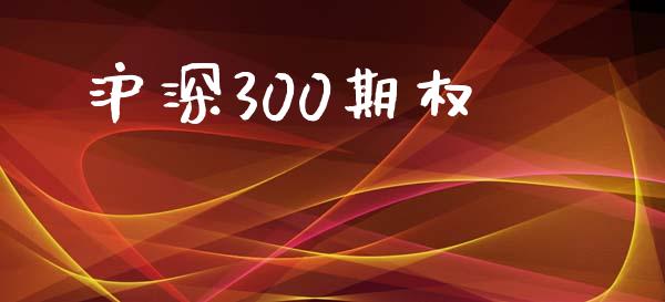 沪深300期权_https://www.fsyjjx.cn_期货资讯_第1张