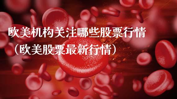欧美机构关注哪些股票行情（欧美股票最新行情）_https://www.fsyjjx.cn_股票指导_第1张