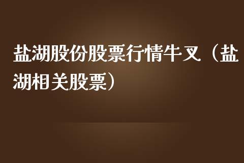 盐湖股份股票行情牛叉（盐湖相关股票）_https://www.fsyjjx.cn_股票指导_第1张