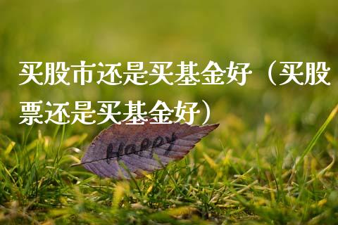 买股市还是买基金好（买股票还是买基金好）_https://www.fsyjjx.cn_理财资讯_第1张