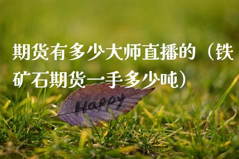 期货有多少大师直播的（铁矿石期货一手多少吨）_https://www.fsyjjx.cn_期货在线_第1张