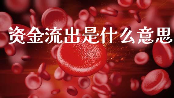 资金流出是什么意思_https://www.fsyjjx.cn_问财精选_第1张