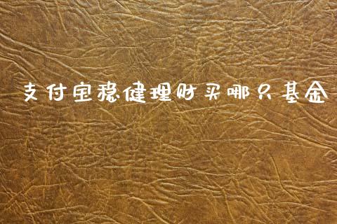 支付宝稳健理财买哪只基金_https://www.fsyjjx.cn_理财资讯_第1张
