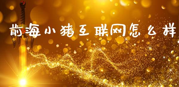 前海小猪互联网怎么样_https://www.fsyjjx.cn_期货研报_第1张