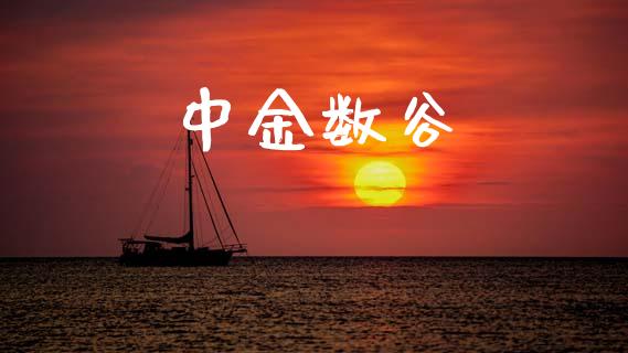 中金数谷_https://www.fsyjjx.cn_期货研报_第1张