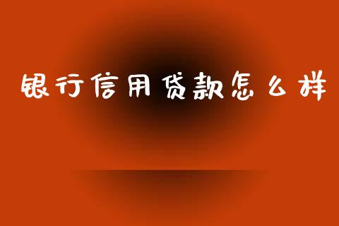 银行信用贷款怎么样_https://www.fsyjjx.cn_期货研报_第1张