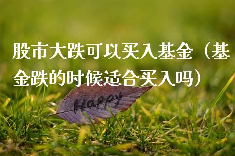 股市大跌可以买入基金（基金跌的时候适合买入吗）_https://www.fsyjjx.cn_理财资讯_第1张