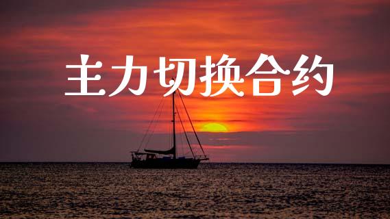 主力切换合约_https://www.fsyjjx.cn_期货资讯_第1张