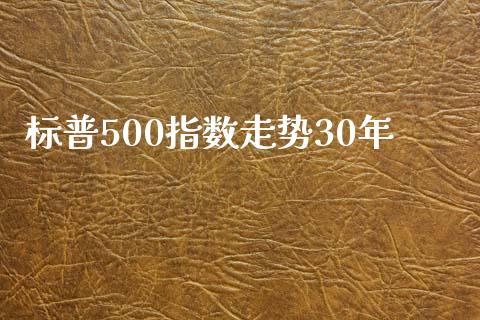 标普500指数走势30年_https://www.fsyjjx.cn_期货研报_第1张