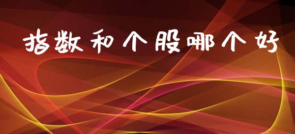 指数和个股哪个好_https://www.fsyjjx.cn_期货资讯_第1张