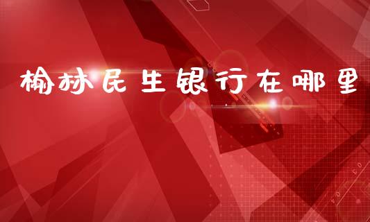 榆林民生银行在哪里_https://www.fsyjjx.cn_期货资讯_第1张