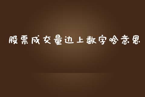 股票成交量边上数字啥意思_https://www.fsyjjx.cn_股票指导_第1张