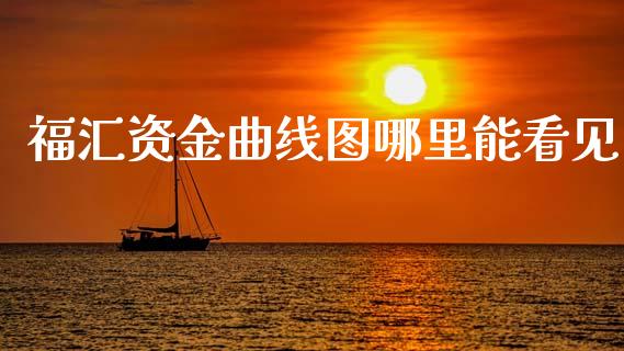 福汇资金曲线图哪里能看见_https://www.fsyjjx.cn_股市分析_第1张