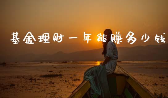 基金理财一年能赚多少钱_https://www.fsyjjx.cn_理财资讯_第1张