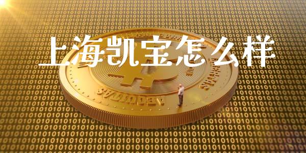 上海凯宝怎么样_https://www.fsyjjx.cn_股指期货_第1张
