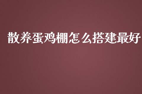 散养蛋鸡棚怎么搭建最好_https://www.fsyjjx.cn_期货资讯_第1张