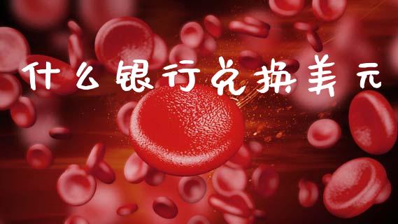 什么银行兑换美元_https://www.fsyjjx.cn_期货研报_第1张