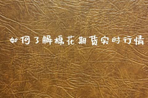 如何了解棉花期货实时行情_https://www.fsyjjx.cn_期货资讯_第1张