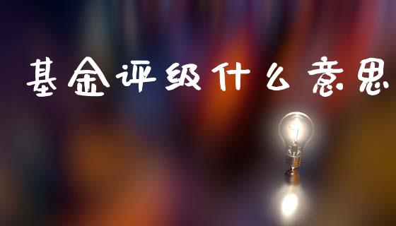 基金评级什么意思_https://www.fsyjjx.cn_期货研报_第1张