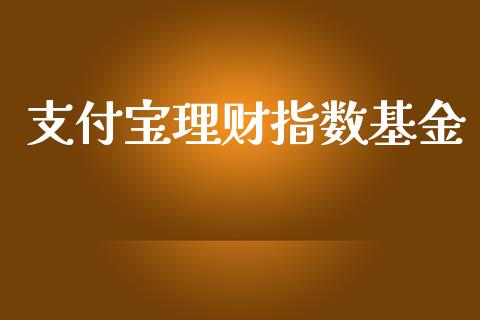 支付宝理财指数基金_https://www.fsyjjx.cn_问财精选_第1张