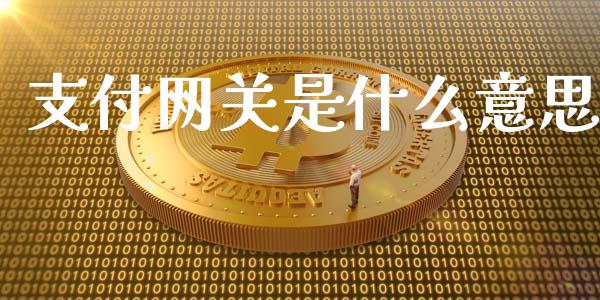 支付网关是什么意思_https://www.fsyjjx.cn_股市分析_第1张
