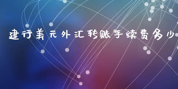 建行美元外汇转账手续费多少_https://www.fsyjjx.cn_期货研报_第1张