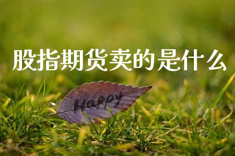 股指期货卖的是什么_https://www.fsyjjx.cn_期货研报_第1张