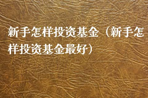 新手怎样投资基金（新手怎样投资基金最好）_https://www.fsyjjx.cn_理财资讯_第1张