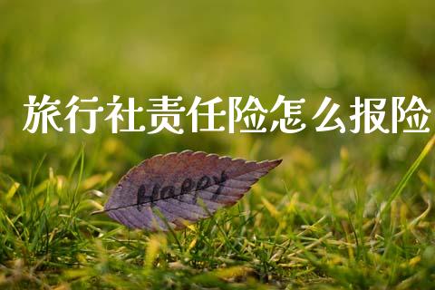 旅行社责任险怎么报险_https://www.fsyjjx.cn_股市分析_第1张